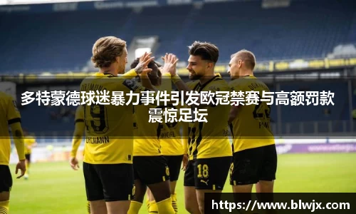 多特蒙德球迷暴力事件引发欧冠禁赛与高额罚款震惊足坛